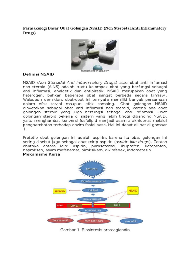 Farmakologi Obat Golongan NSAID | PDF | Pengembangan Diri | Sains ...