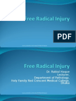 Free Radical Injury 2