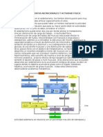 Requerimientos Nutricionales y Actividad Fisica c3