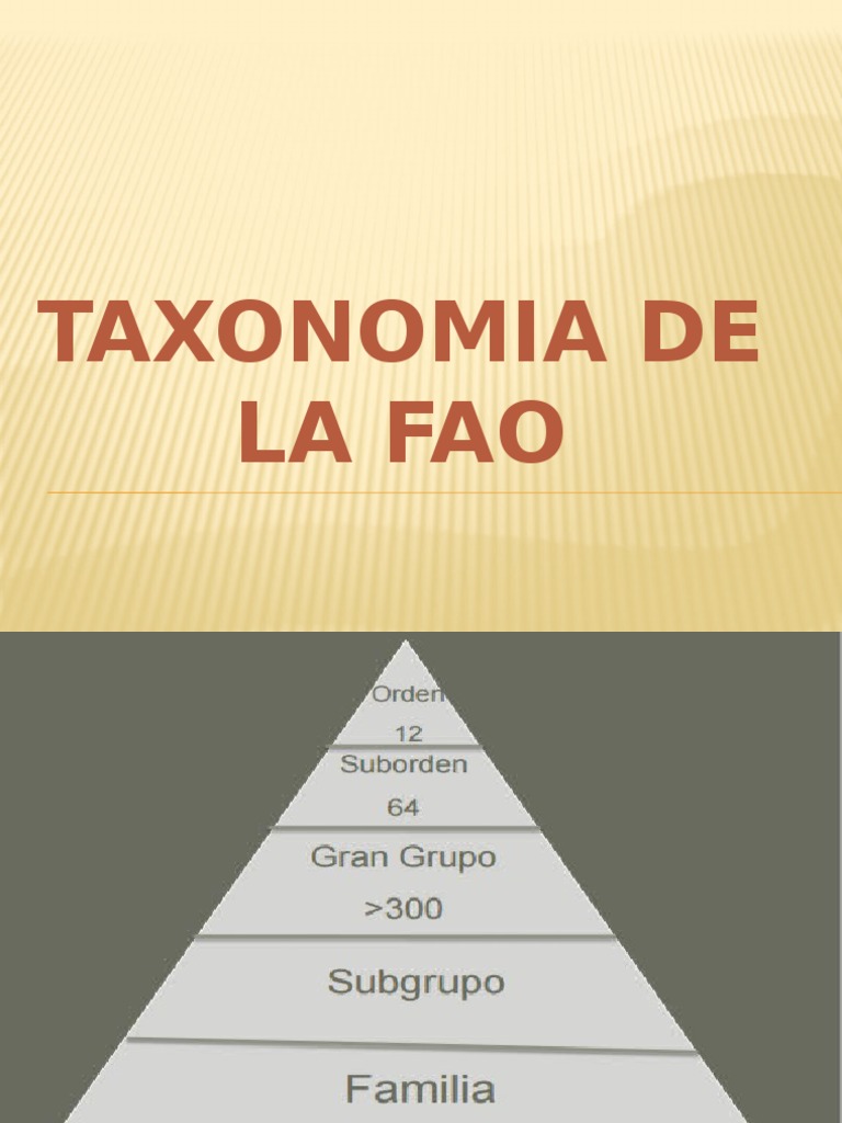 taxonomia suelo Taxonomía (biología) Suelo