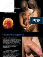 Fisiologia Sexual1