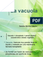 5 Vacuola