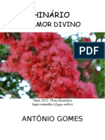 Antonio Gomes - O Amor Divino - 2.1 - 2012