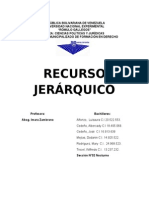RECURSOS JERÁRQUICOS - Trabajo