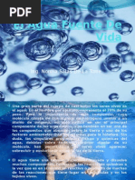 El Agua Fuente de Vida