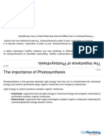 Photosynthesis A2