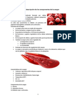 Definición y Descripción de Los Componentes de La Sangre