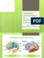 Cerebral Hemispheres and