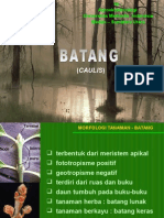 Botani - Morfologi Batang