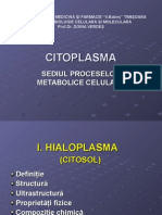 Citoplasma-citoschelet