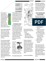 el_agua_y_las_cuencas_hidrograficas.pdf