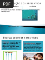 Evolução Dos Seres Vivos 7º Ano