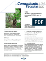 Mimosa Caesalpiniaefolia - Comunicado - Tecnico - 104