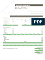 Informe de Gastos Alejandro