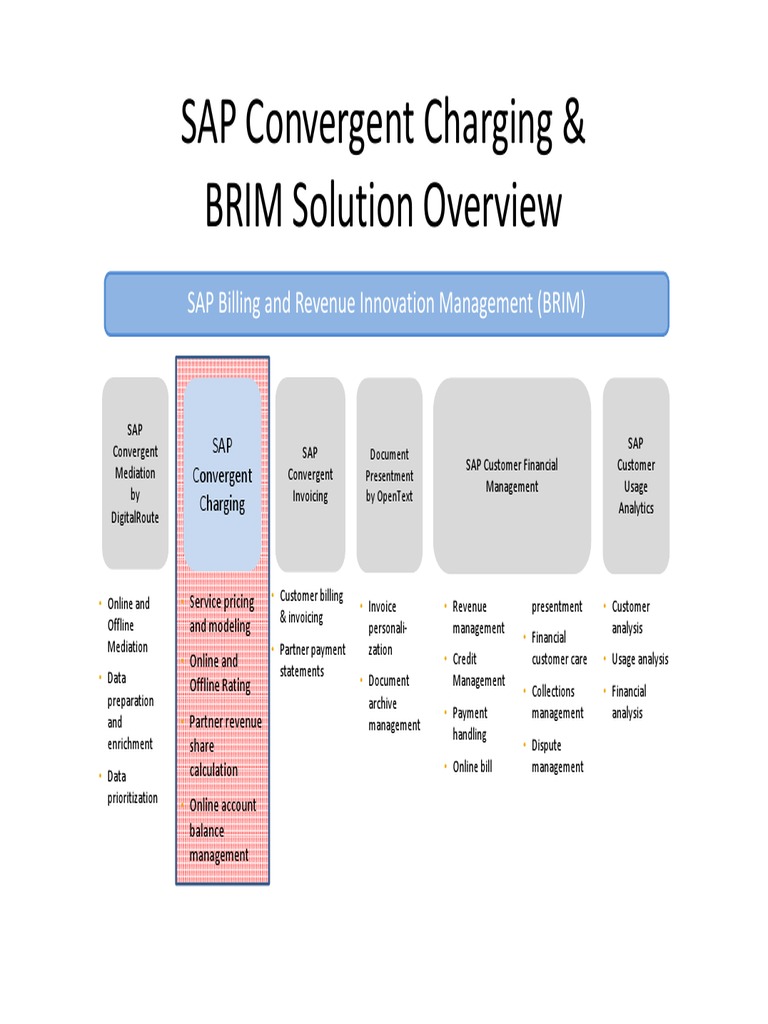 SAP BRIM and Convergent Charging Overview | PDF | Finance & Money ...
