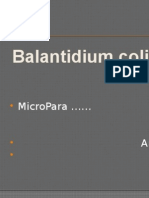 Balantidium Coli: Micropara