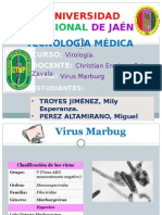 Virus Marburg 