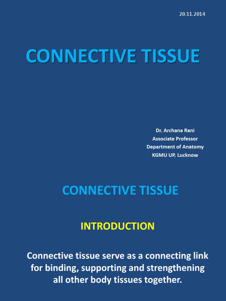 Overview of Connective Tissue Types | PDF | Connective Tissue | Collagen