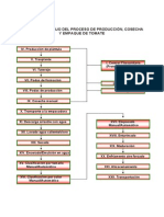 5991.66.59.6.Diagrama de Flujo Tomate