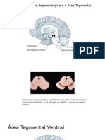 A substÃ¢ncia negra dopaminÃ©rgica e a Ã-rea Tegmental