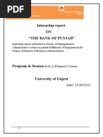 The Bank of Punjab Internship Report