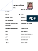 Curriculum Vitae Flor afj