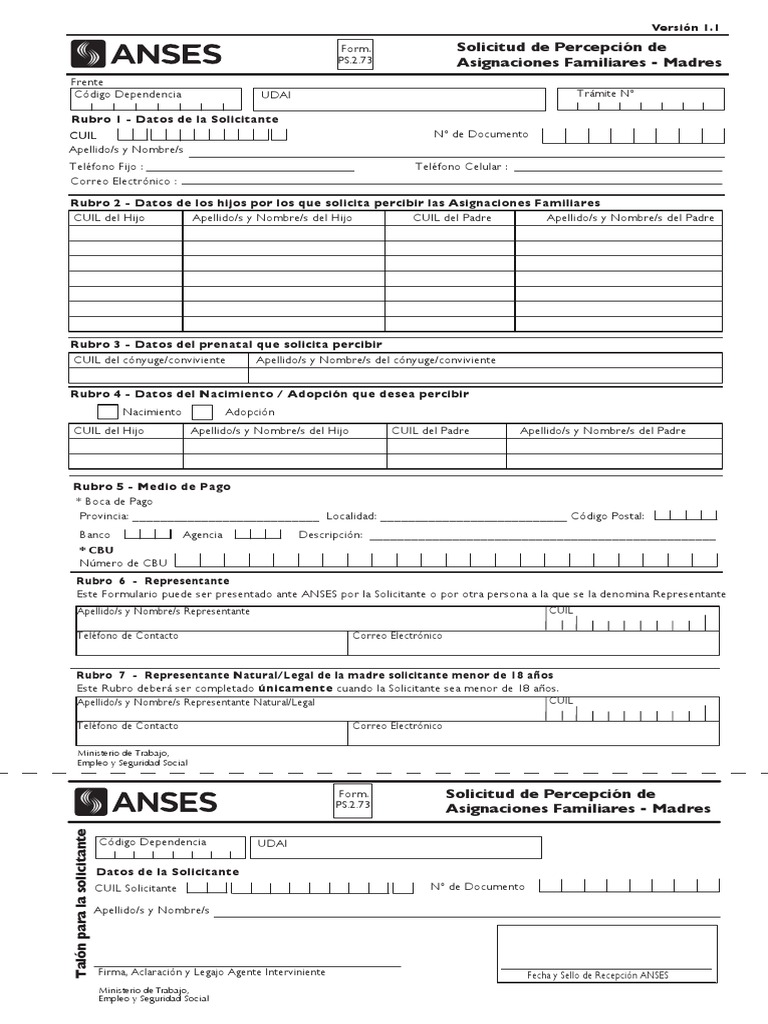 Anses Formulario 2.73 Percepcion Madres | PDF | Adopción | Gobierno