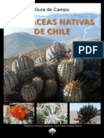 Cactáceas chilenas 2013