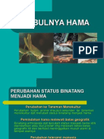 Timbulnya Hama