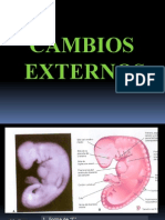 E. - Cambios Externos