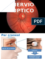 Nervio Optico