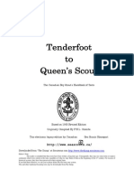 Tenderfoot To Queens Scout