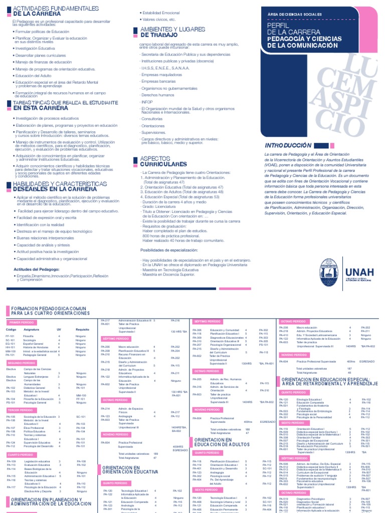 Plan de Estudios Pedagogia | PDF | Planificación | Pedagogía