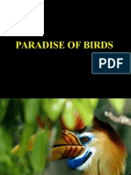 Paradise of Birds: A Guide