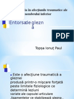 Entorsa de Glezna Topsa Ionut Paul