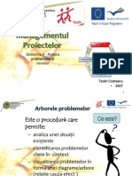 Arborele Problemei PDF