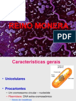 Reino Monera