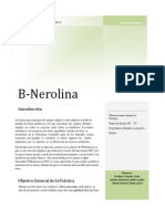 Informe B- nerolina.pdf