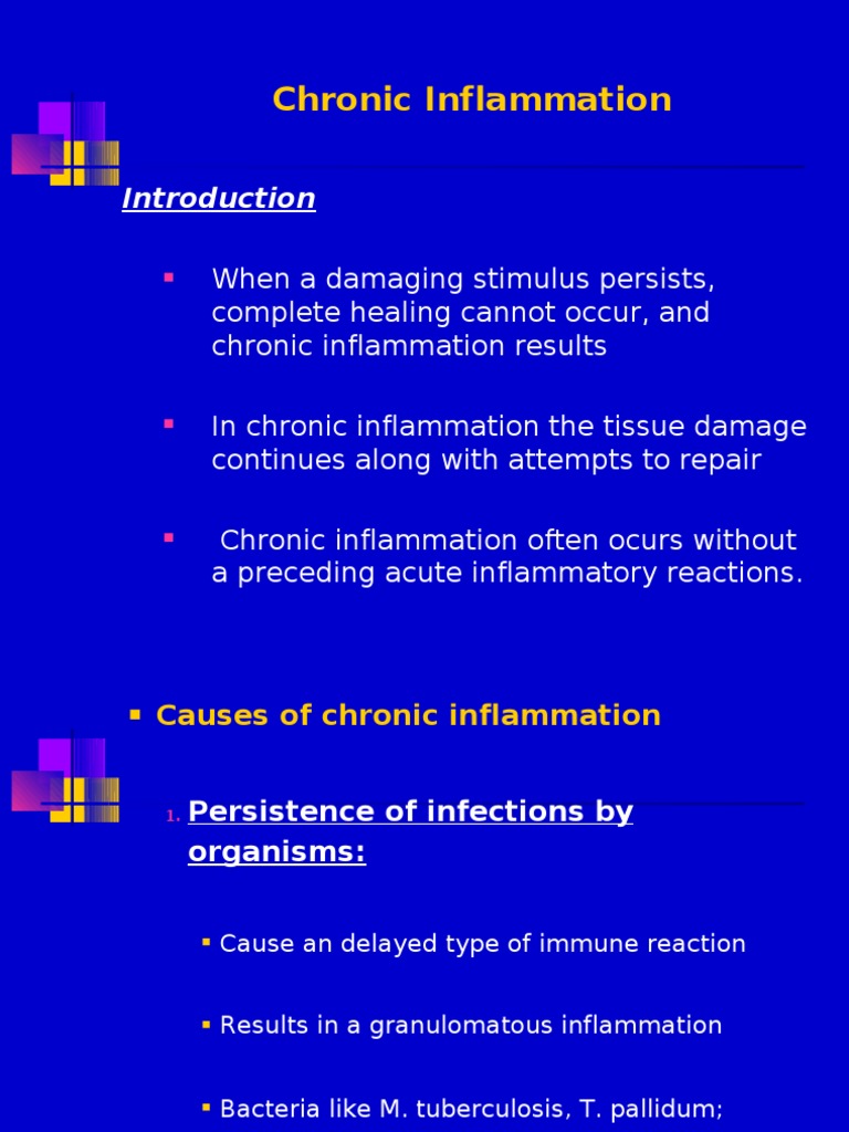Understanding Chronic Inflammation | PDF | Macrophage | Inflammation