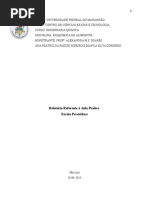 Relatório Referente à Aula Prática  Ensaio Peroxidase