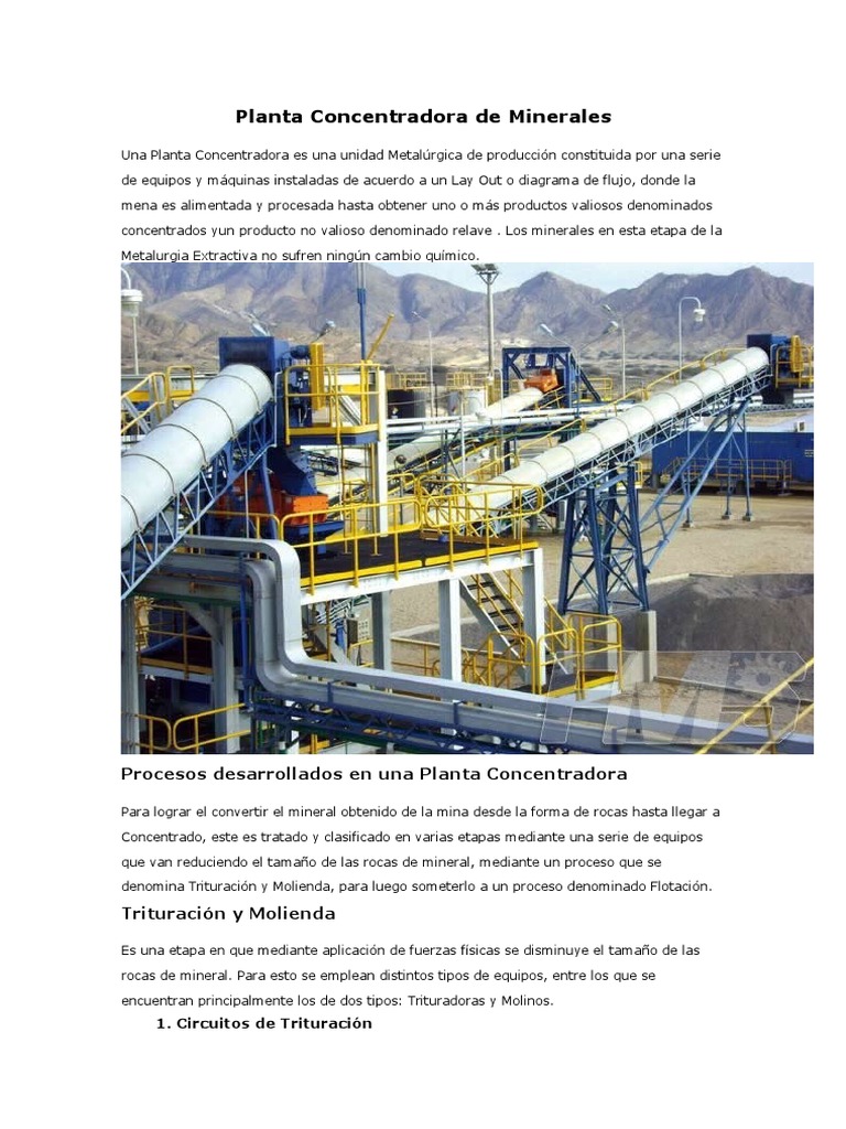 Proceso en Planta Concentradora de Minerales | PDF | Minerales | Agua