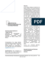 Desarrollo de las FE y CPF.pdf