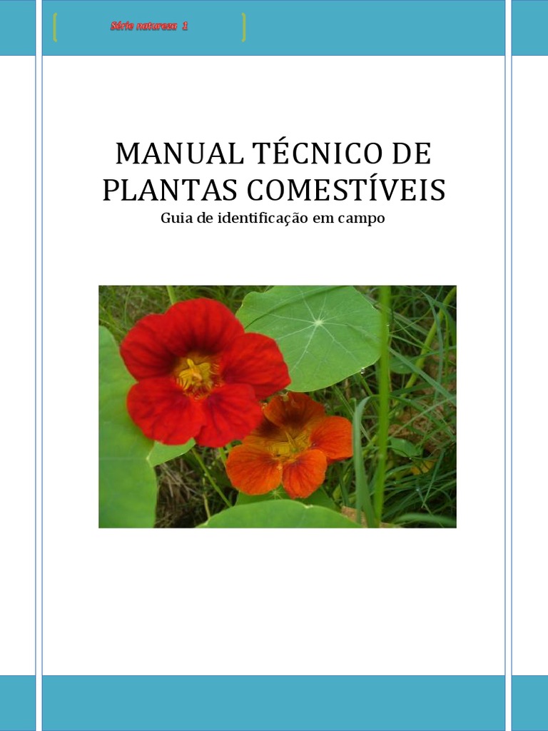 Frutas, Verduras e Outros em Inglês e Portugues, PDF, Plantas comestíveis