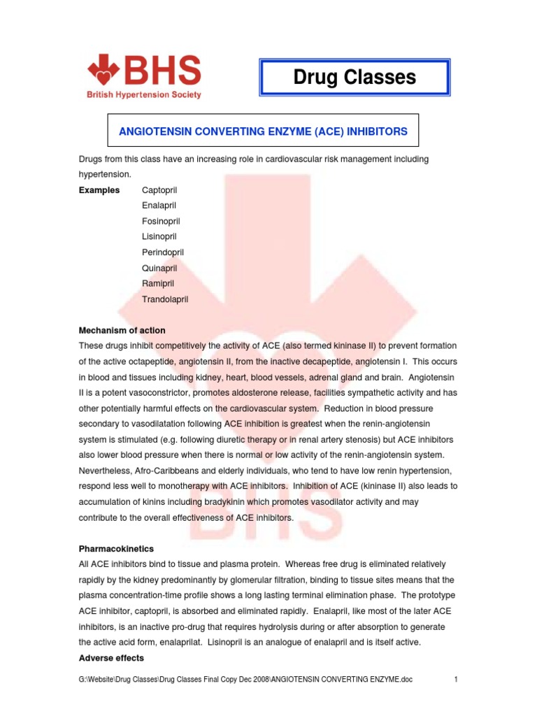 Angiotensin Converting Enzyme (ACE) Inhibitors | PDF | Science ...