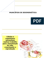 Aula 1 - Princ+¡pios de Bioenerg+®tica - Fabio