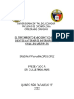 EL TRATAMIENTO ENDODÓNTICO DE LOS DIENTES ANTERIORES INFERIORES.doc