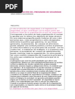 Organización Del Programa de Seguridad