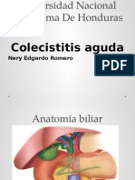 Colecistitis Aguda