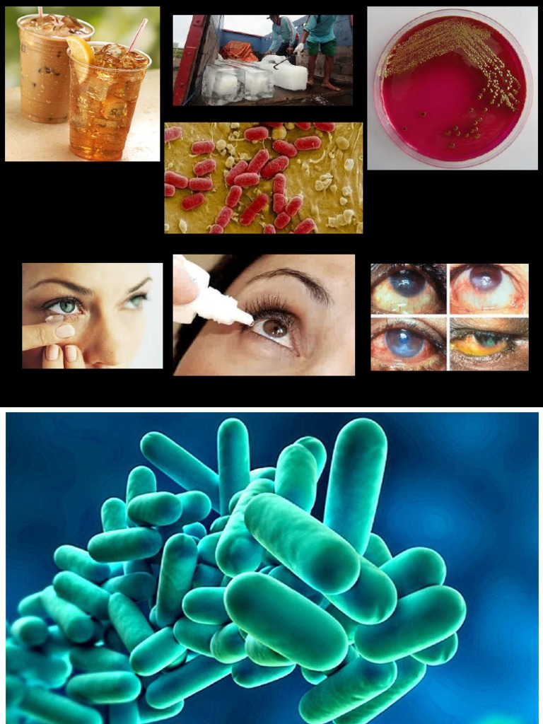 Microbial Growth Control Sterilization (Microbiology) Disinfectant