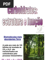 Aula 2 Mono e Dissacarideos